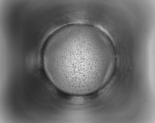 X0000088431215200706051224