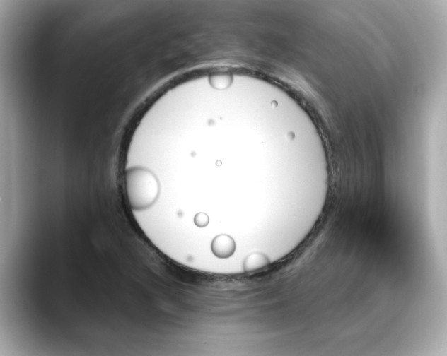 X0000088431216200706051224