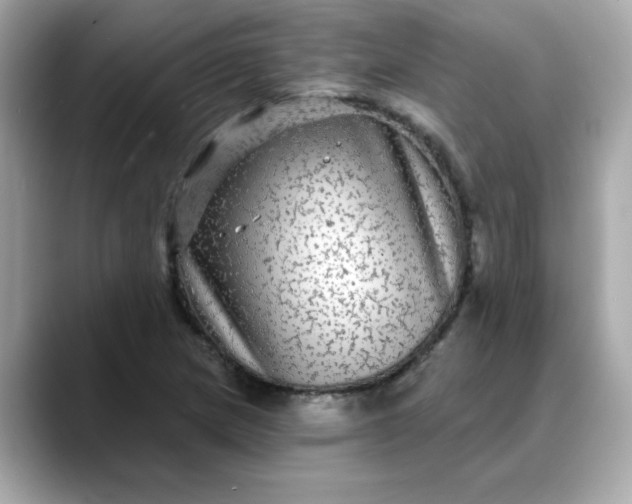 X0000088431217200706051224