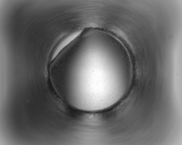 X0000088431218200706051224