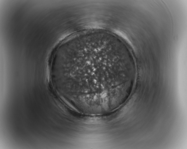 X0000088431219200706051224