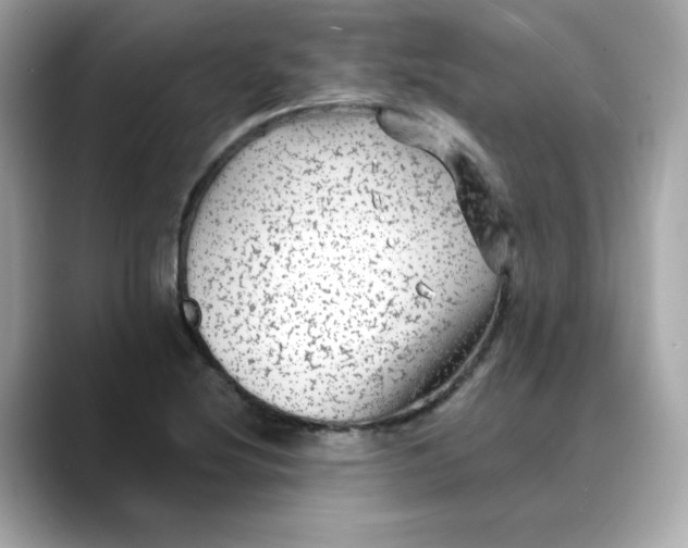 X0000088431220200706051224