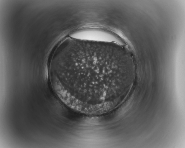 X0000088431221200706051224