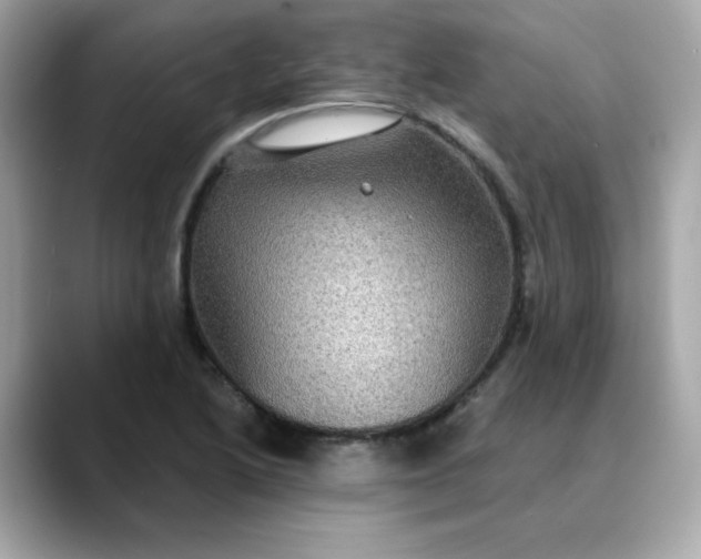 X0000088431222200706051224