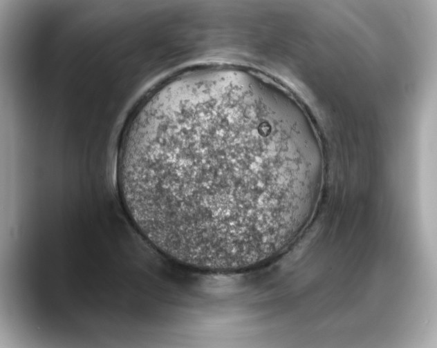 X0000088431224200706051224