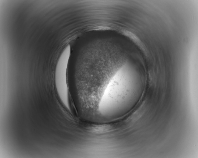 X0000088431225200706051224