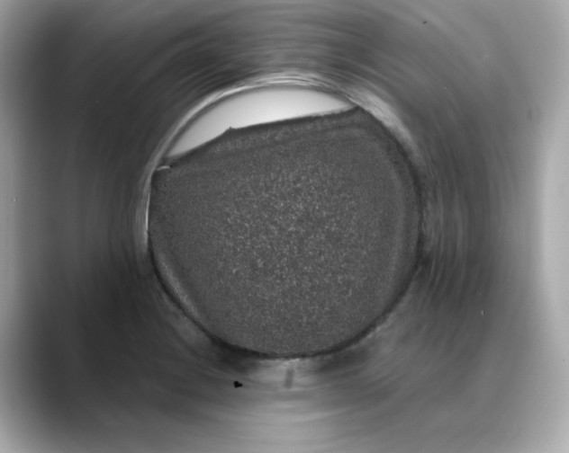 X0000088431228200706051224