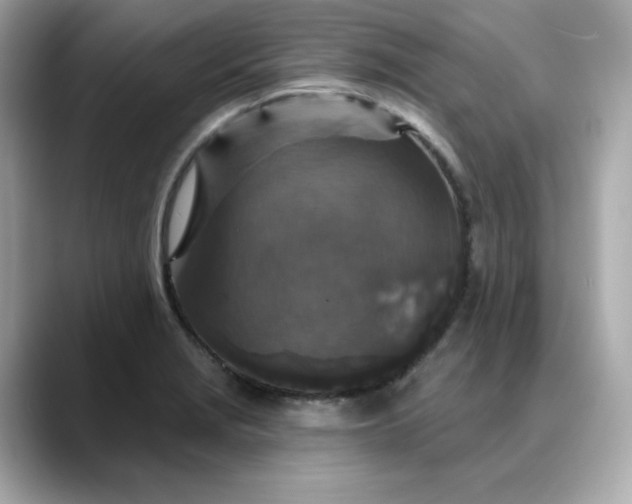 X0000088431229200706051224