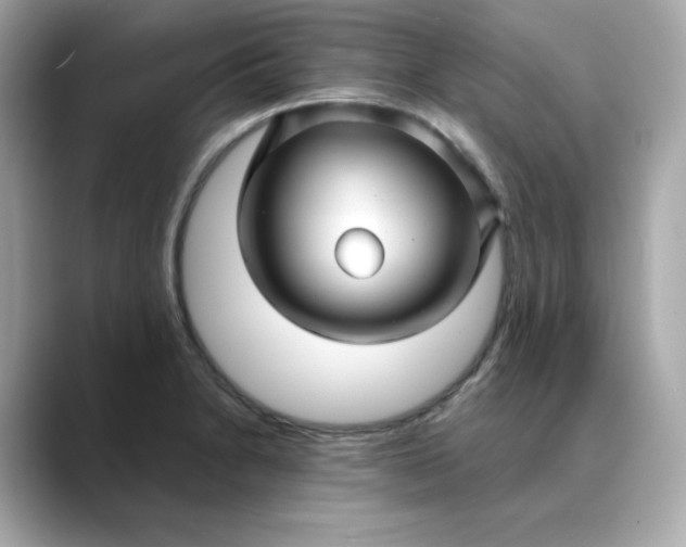 X0000088431230200706051224