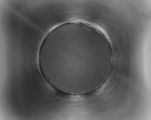 X0000088431231200706051224