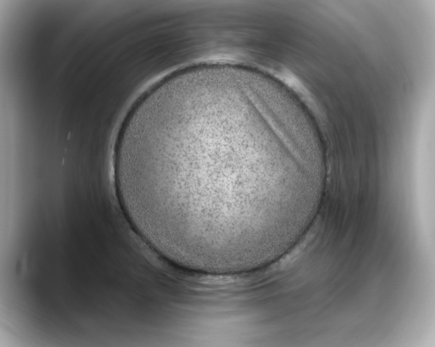 X0000088431232200706051224