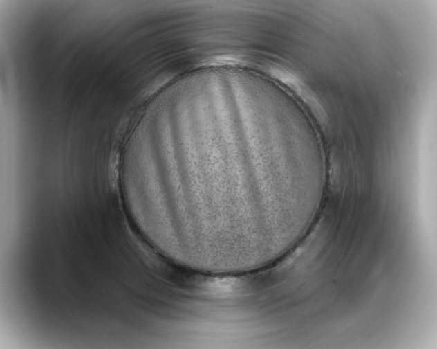 X0000088431233200706051224