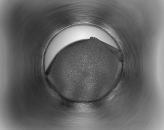 X0000088431234200706051224