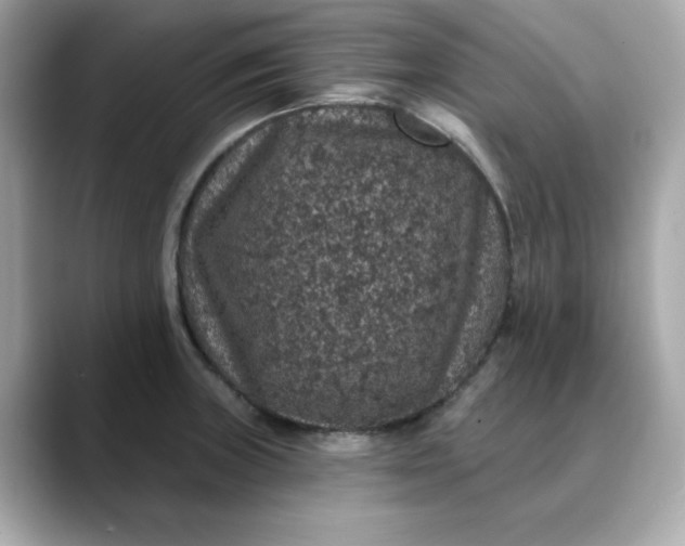 X0000088431235200706051224