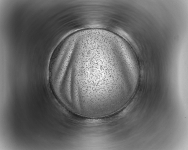 X0000088431236200706051224