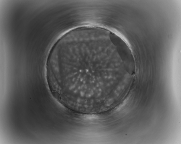 X0000088431239200706051224