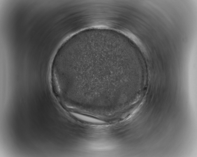 X0000088431240200706051224