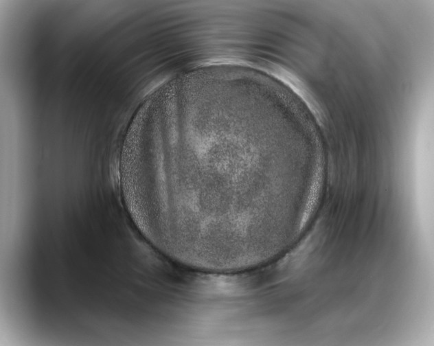 X0000088431241200706051224