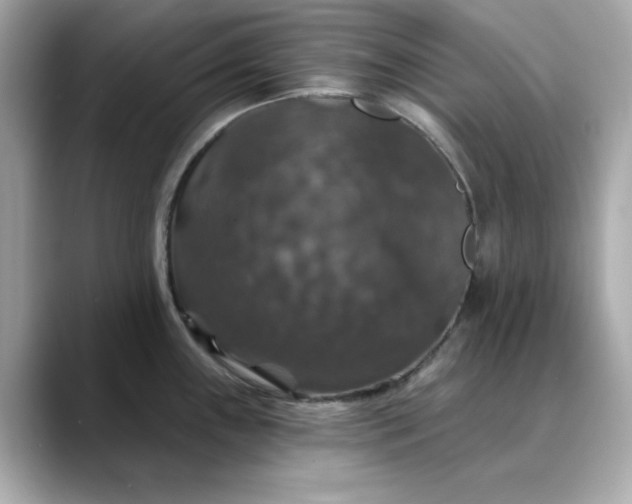 X0000088431243200706051224