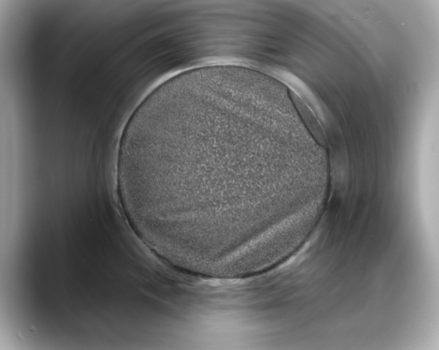 X0000088431244200706051224