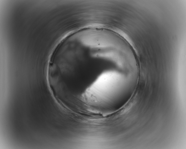 X0000088431245200706051224