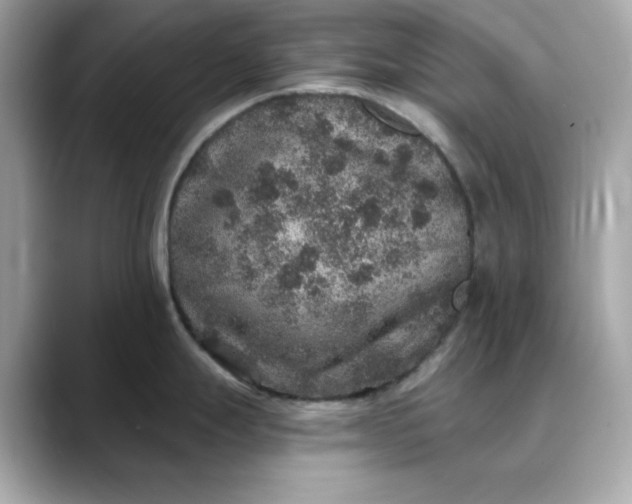 X0000088431247200706051224