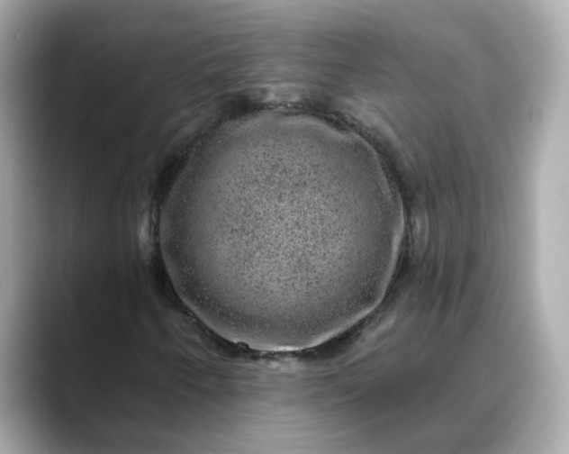 X0000088431250200706051224