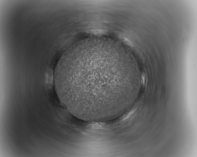 X0000088431251200706051224