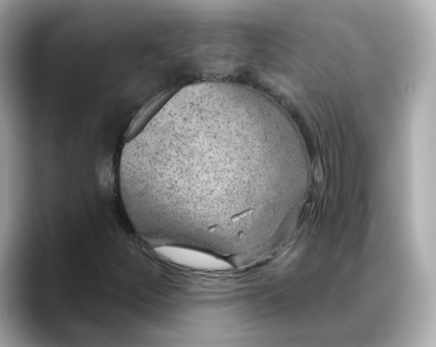 X0000088431252200706051224