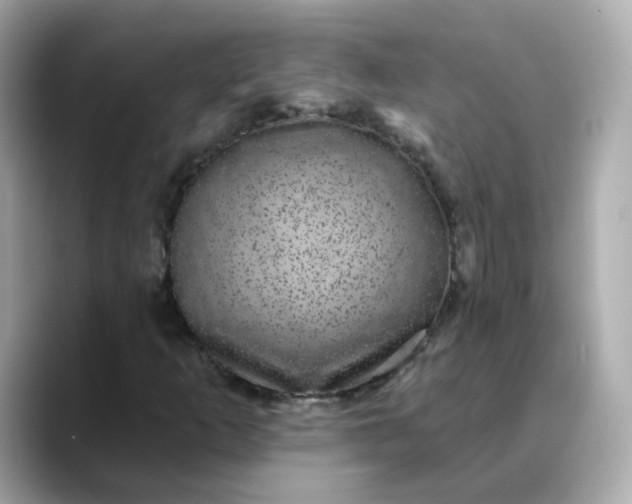 X0000088431253200706051224