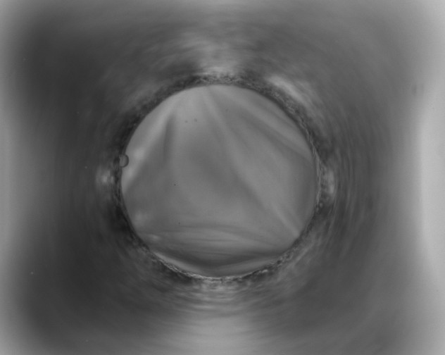 X0000088431254200706051224