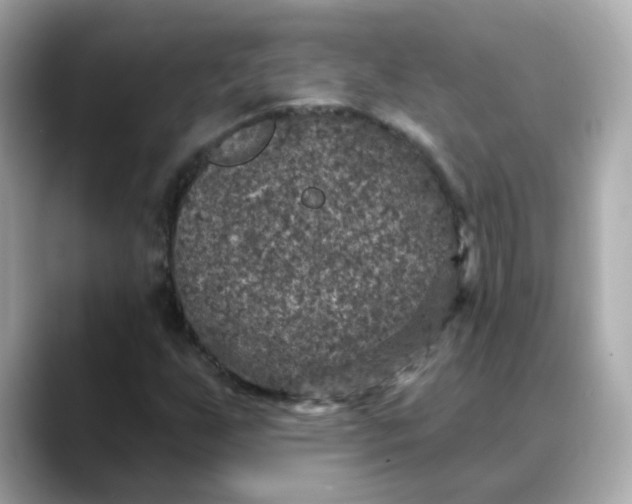 X0000088431255200706051224