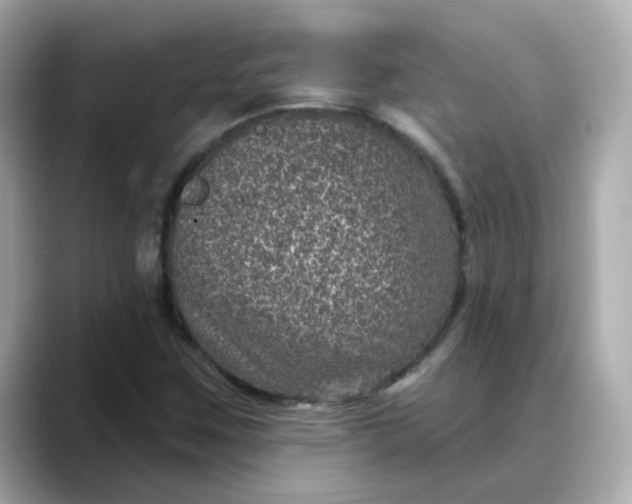 X0000088431259200706051224