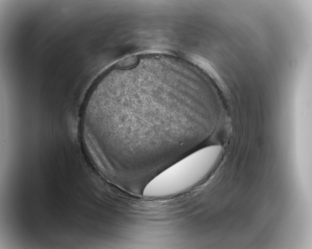 X0000088431260200706051224