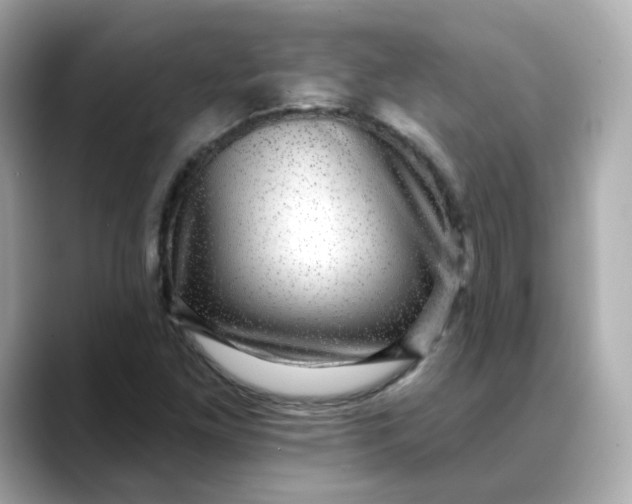 X0000088431261200706051224