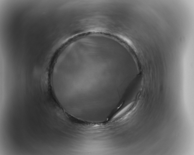 X0000088431263200706051224