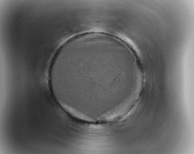 X0000088431264200706051224