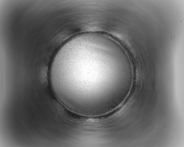 X0000088431265200706051223