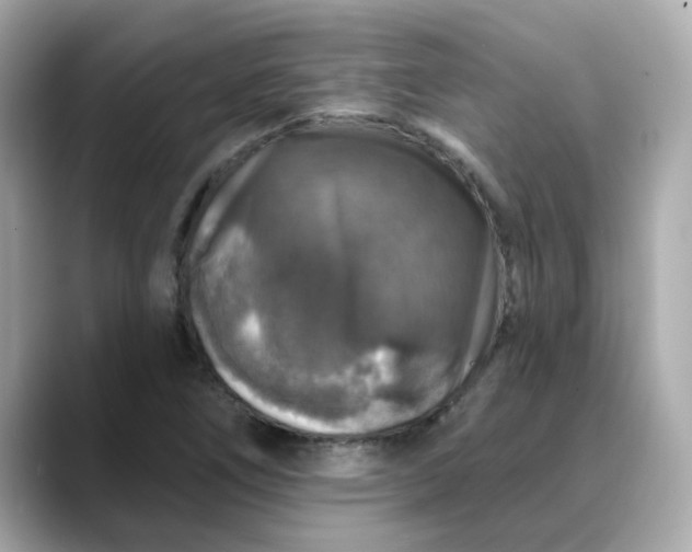 X0000088431266200706051223