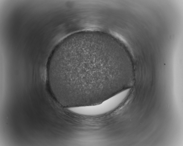 X0000088431267200706051223