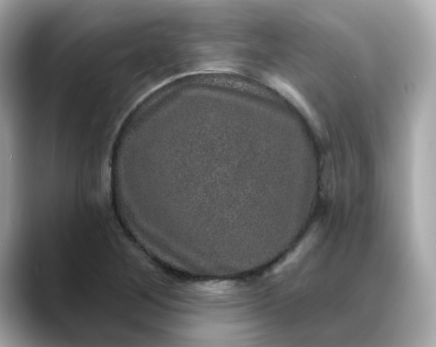 X0000088431268200706051223