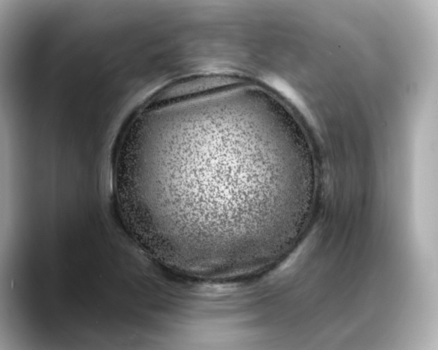 X0000088431269200706051223