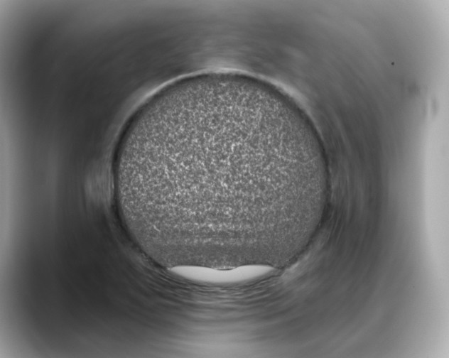 X0000088431271200706051223