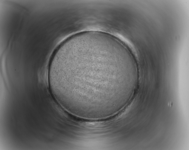 X0000088431272200706051223