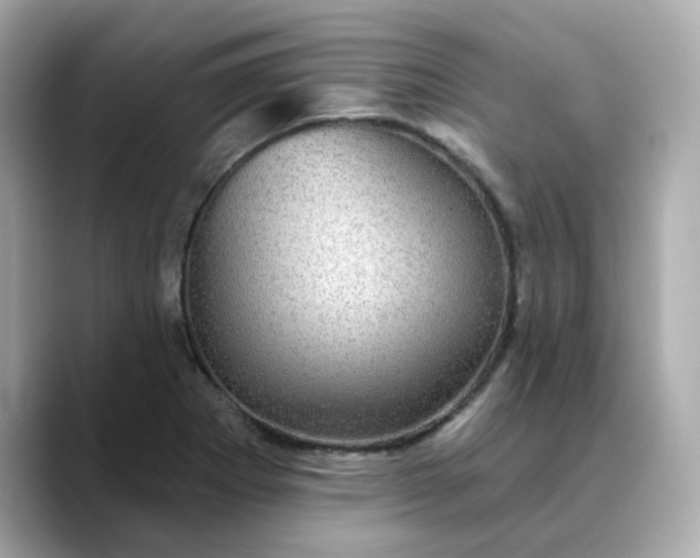 X0000088431273200706051223