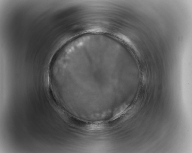 X0000088431274200706051223