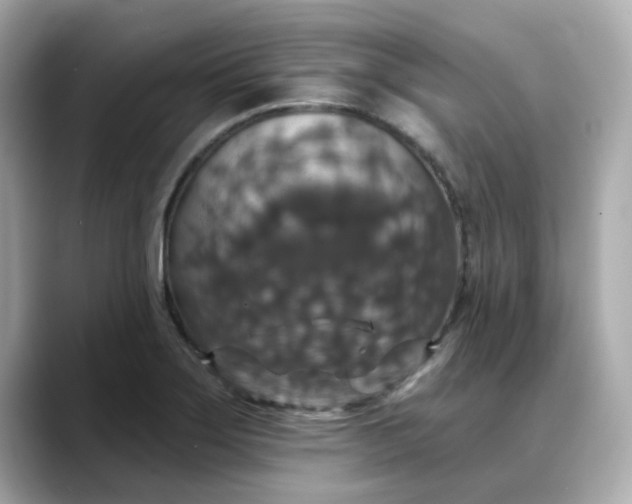 X0000088431275200706051223