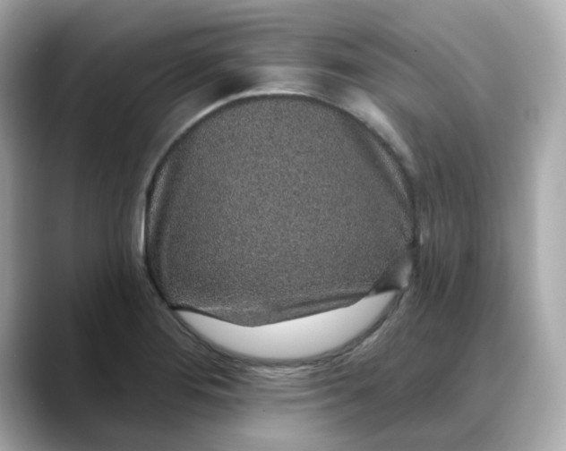 X0000088431276200706051223