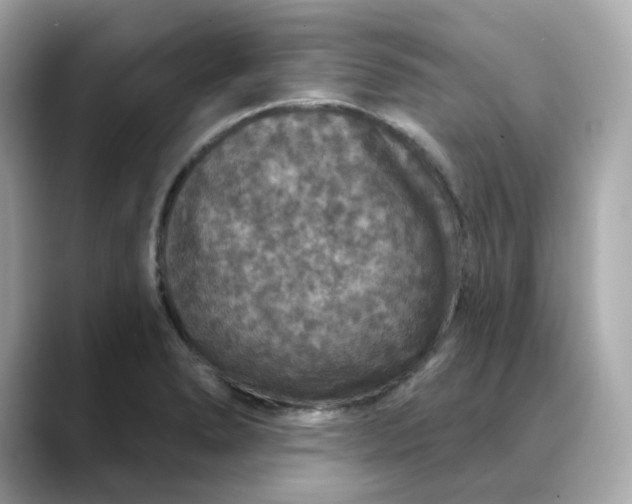 X0000088431278200706051223