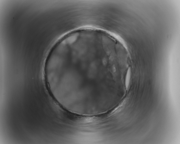 X0000088431279200706051223